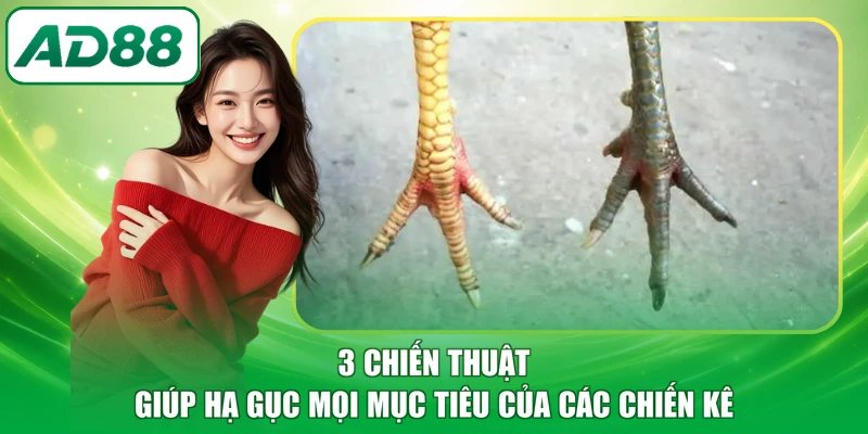 3 chiến thuật giúp hạ gục mọi mục tiêu của các chiến kê